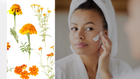 A split image featuring vibrant marigold flowers on the left and a woman applying skincare on the right, highlighting the benefits of marigold extract in skincare.