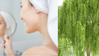 A woman smiling at her reflection in a mirror, highlighting skincare routine benefits from salicin for glowing skin. In the background, a lush willow tree symbolizes natural salicin benefits for skin.