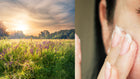 A vibrant field of wildflowers under a golden sunset, symbolizing the beauty of nature. The image represents natural skin moisturizers, showcasing the organic ingredients found in skincare products.