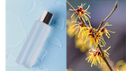 A clear glass bottle of witch hazel toner sitting on a light blue surface with water droplets, accompanied by a close-up of witch hazel flowers with vibrant yellow and red colors.
