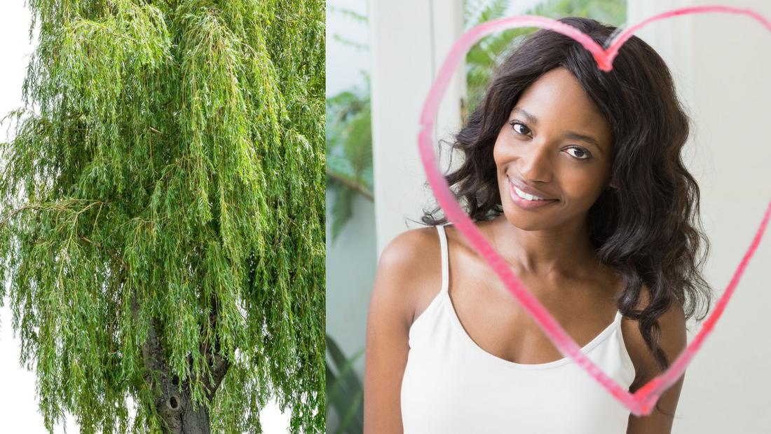 willow tree next to a woman with a heart around her in the mirror
