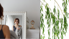 A reflective interior scene featuring a woman in casual wear looking into a vintage mirror with soft lighting and a cozy atmosphere. On the right, a cluster of green willow leaves hangs against a white background, symbolizing natural beauty and wellness.