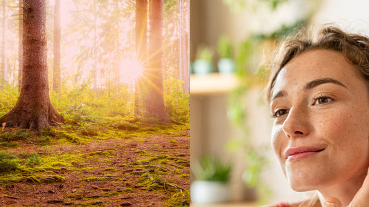 a forest view next to a woman looking at herself in the mirror