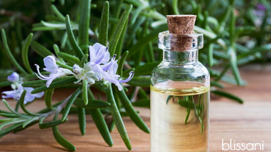 a branch of rosemary with a vial of rosemary extract and the blissani logo