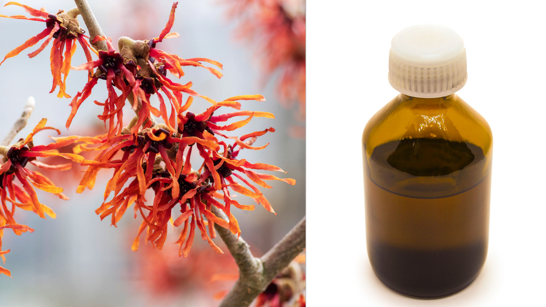 A bright red witch hazel branch against a grey sky next to a bottle of rubbing alcohol