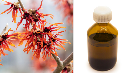 A bright red witch hazel branch against a grey sky next to a bottle of rubbing alcohol