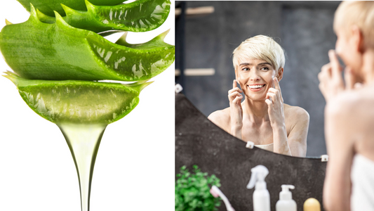 aloe stalks dripping extract next to a mature woman in her 50s checking her skin