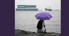 A person sitting by the waterside under a purple umbrella on a rainy day, reflecting on nature while surrounded by grey skies and ships in the distance, capturing the essence of peaceful contemplation.