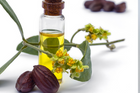 Bottle of golden jojoba oil surrounded by jojoba seeds and flowers, showcasing the natural ingredient for vegan skincare.
