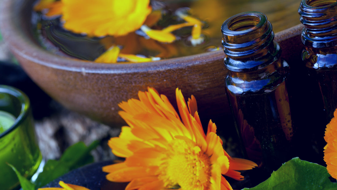 Marigolds and a couple bottles of calendula oil