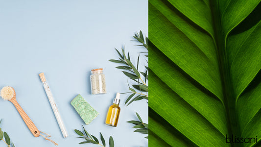 A variety of Natural Skincare products next to a bright green plant