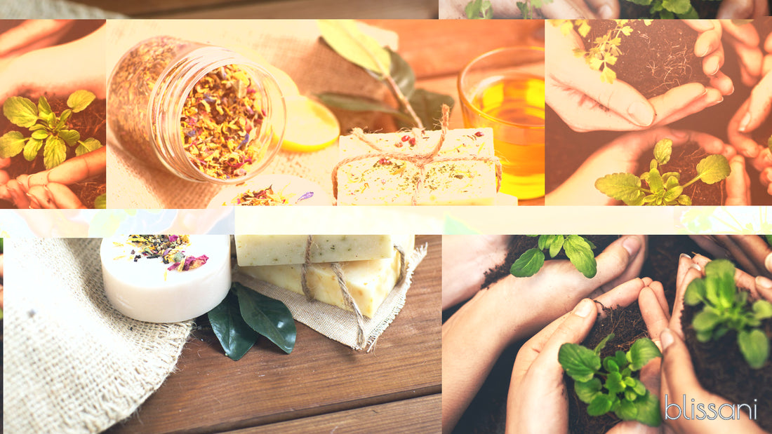 natural products and soap with ingredients and a variety of hands holding plants