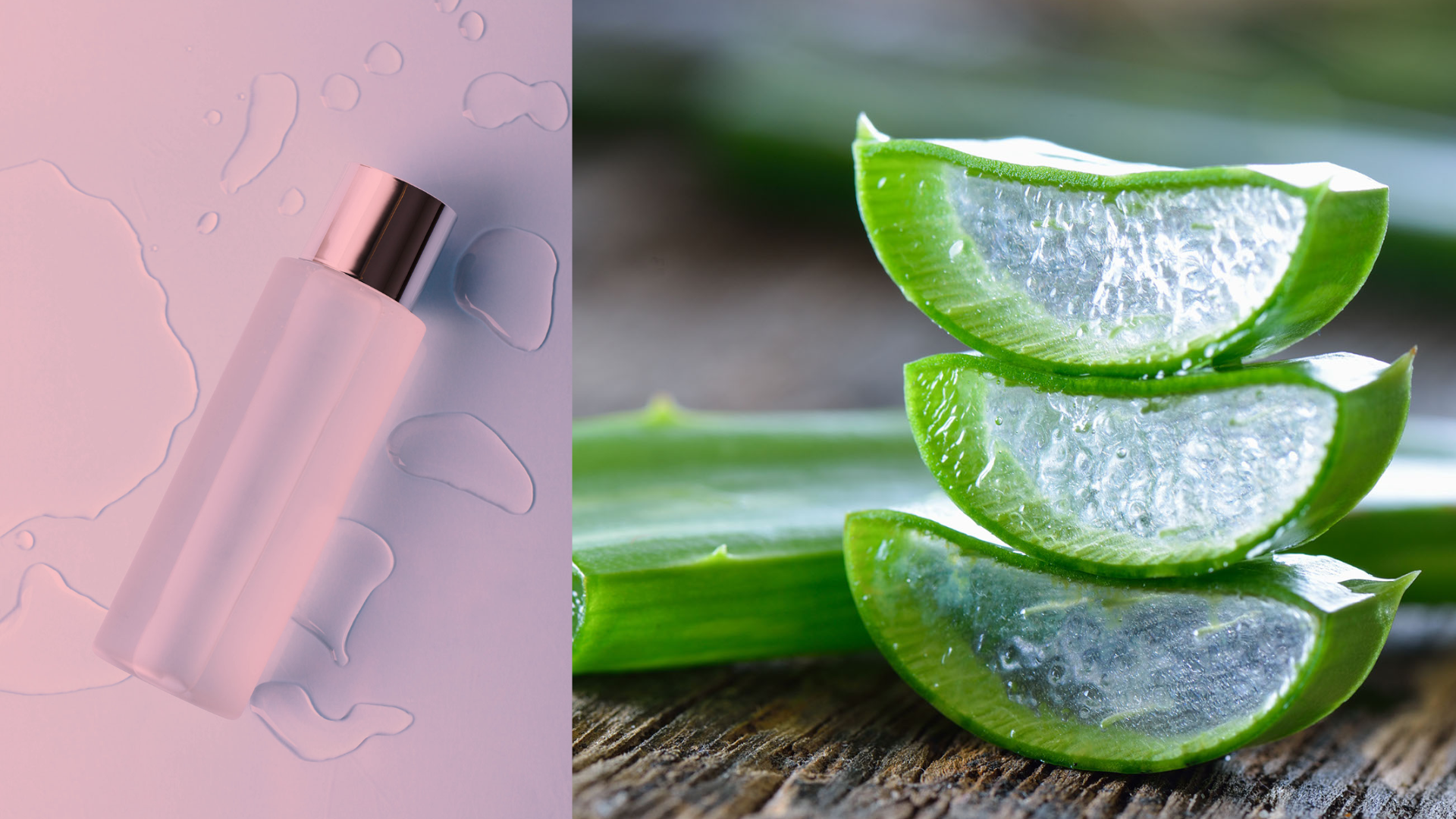 The Aloe Vera Plant and Wrinkles It Works aloe best natural