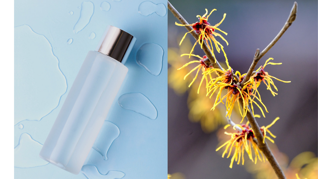 7 Benefits of Witch Hazel Toner and How to Use It