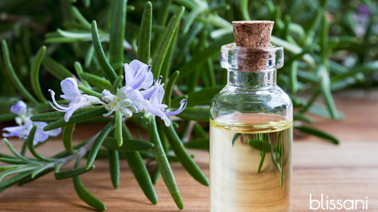 a branch of rosemary with a vial of rosemary extract and the blissani logo
