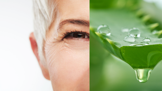 mature woman in her 60s with an aloe plant dripping extract