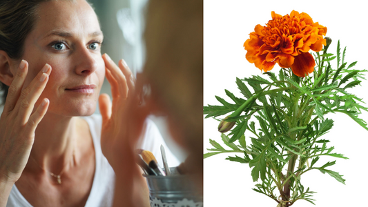 woman examining her skin for wrinkles and fine lines next to a bright orange marigold flower