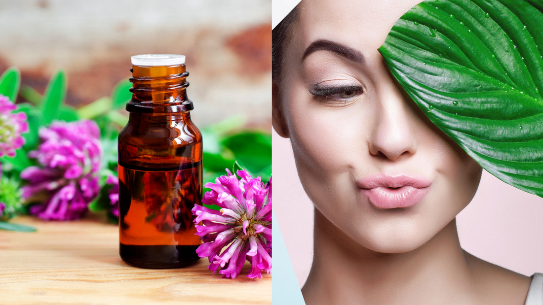 red clover oil and a woman with natural ingredients on her face