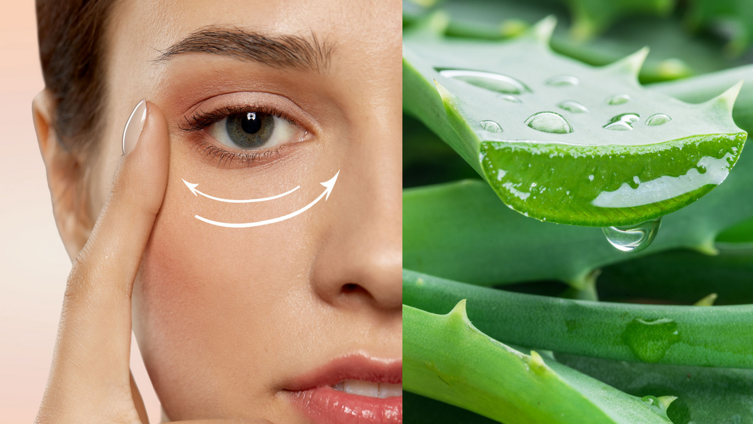 how-to-use-aloe-vera-to-reduce-under-eye-wrinkles-aloe-best-natural